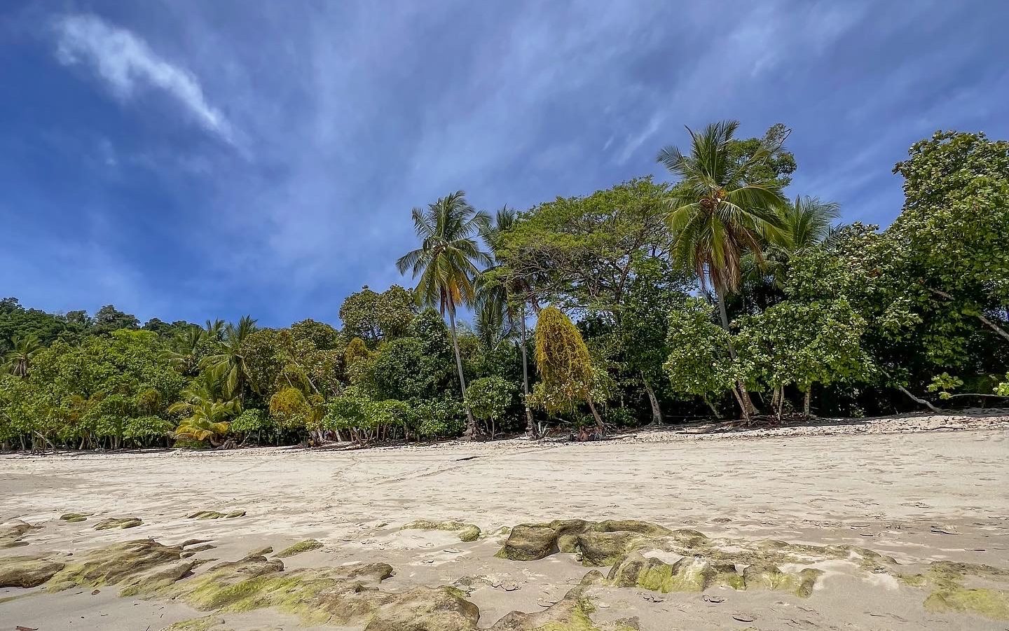 manuel antonio costa rica beach