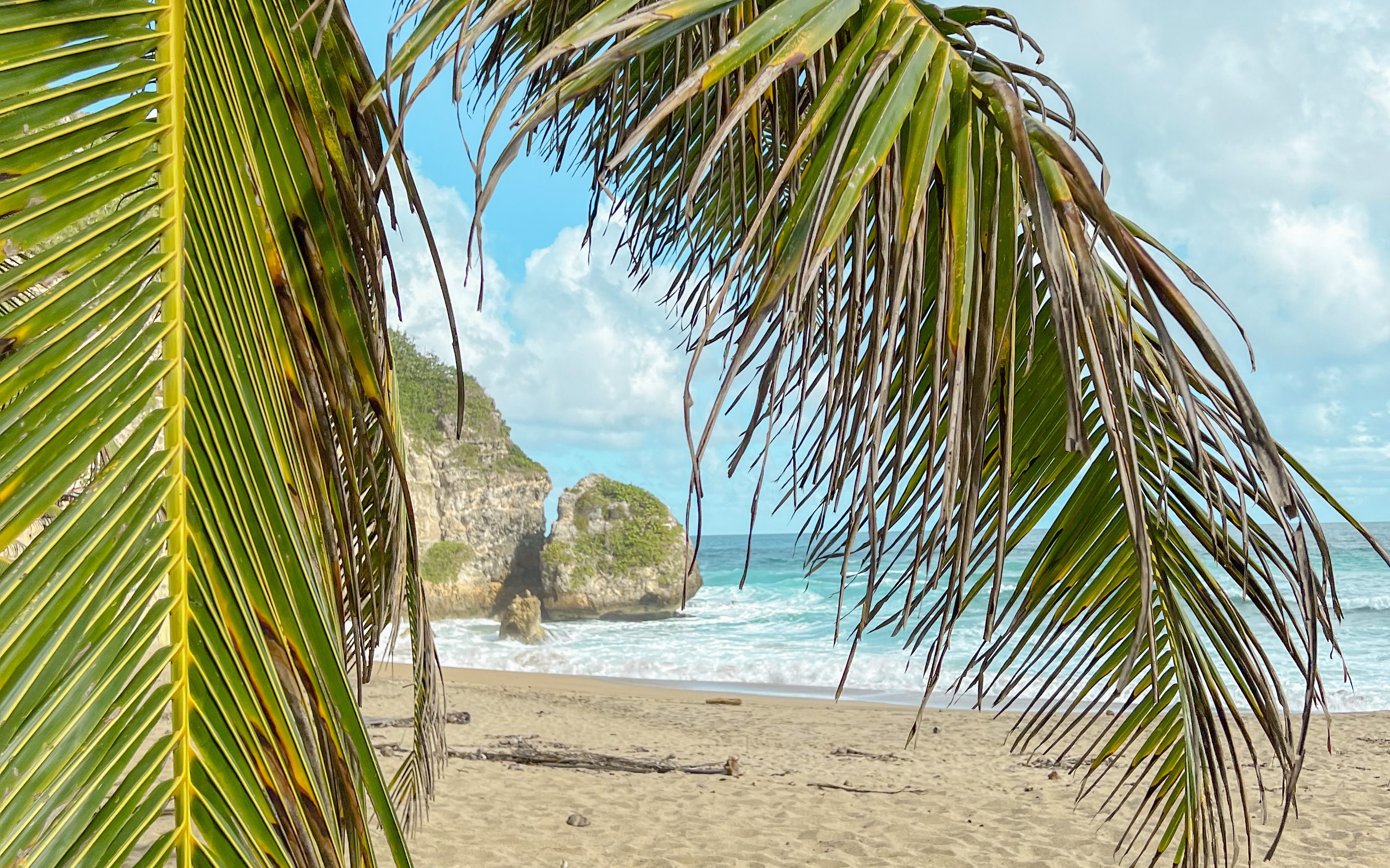 isabela beach in puerto rico

