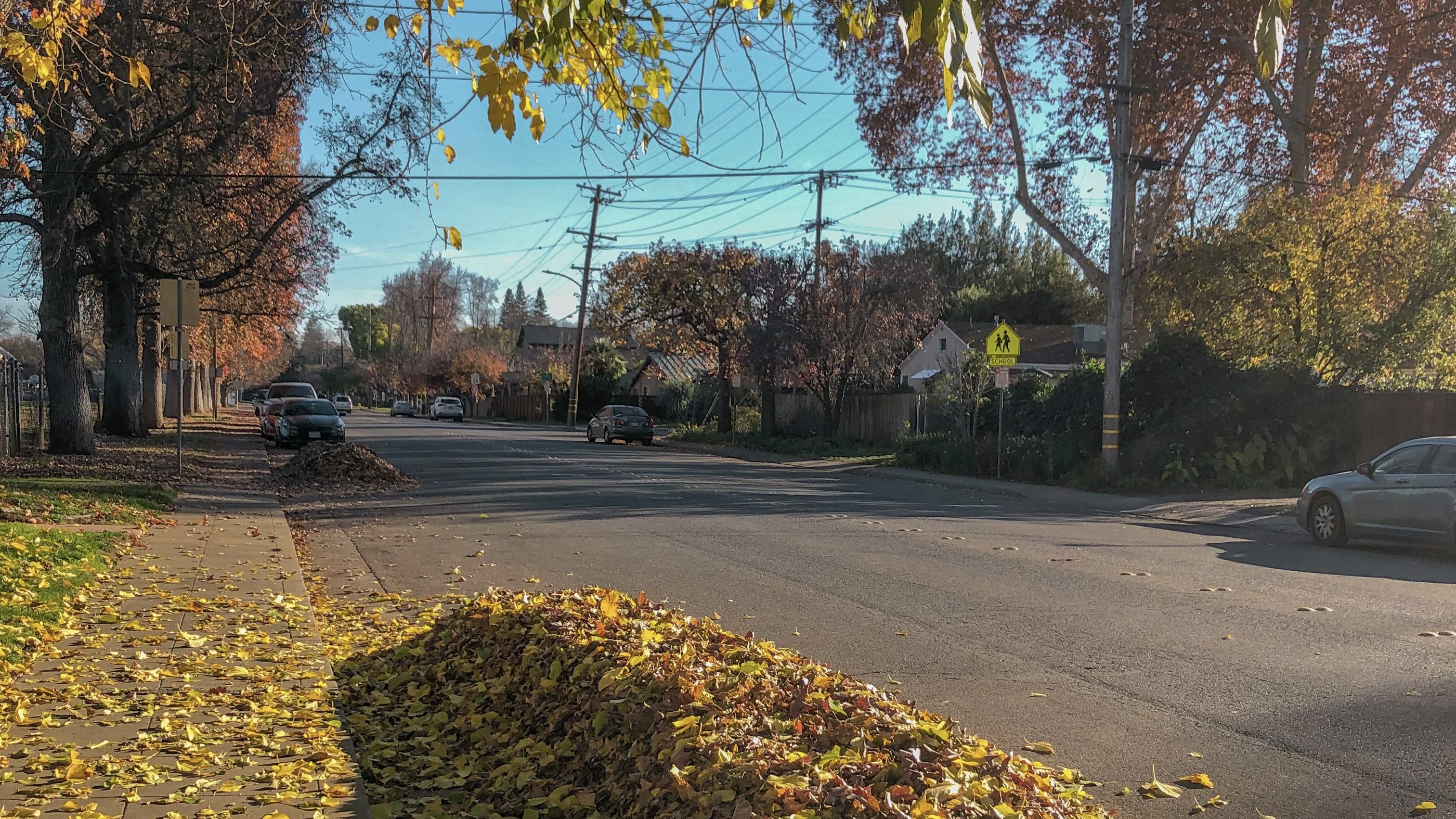 chico, california autumn