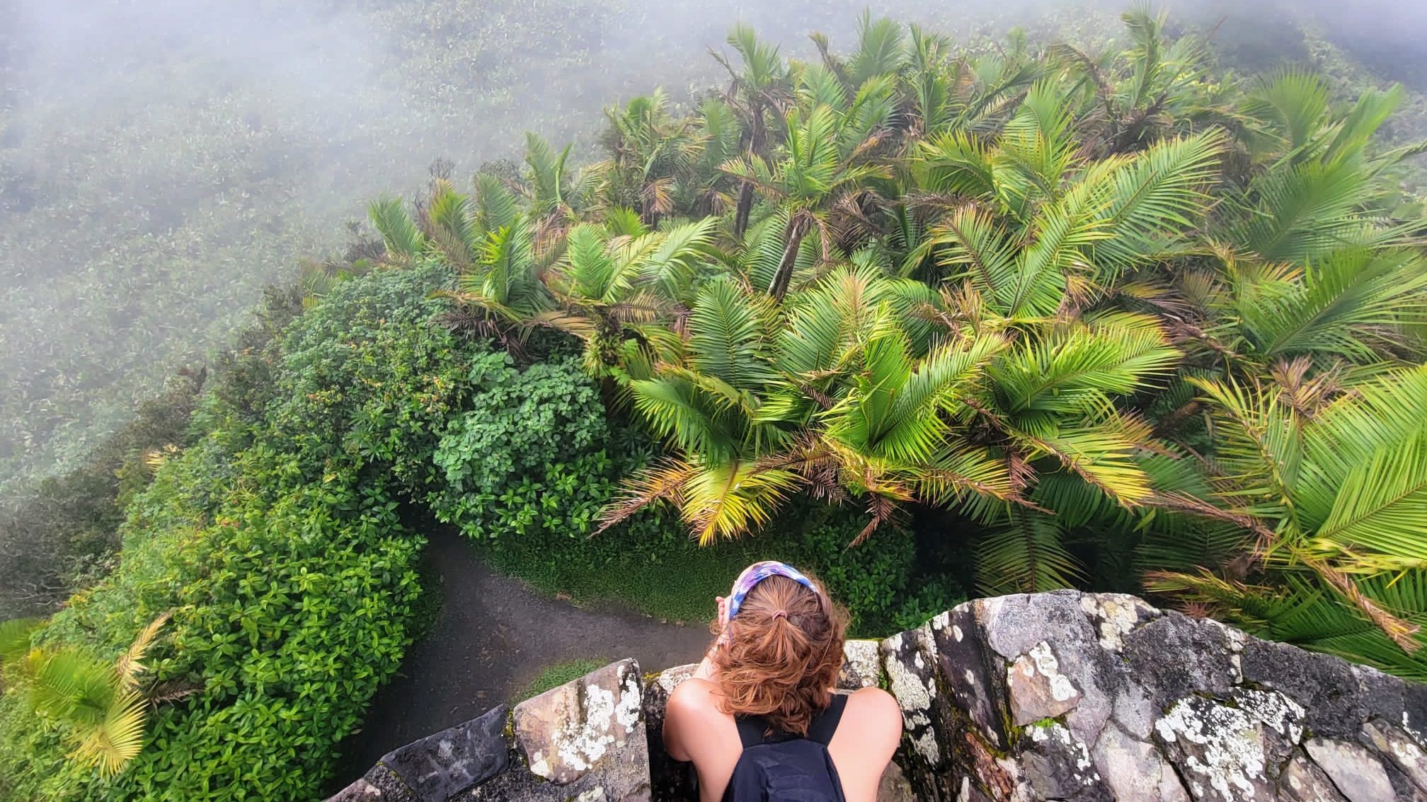 el yunque forest puerto rico