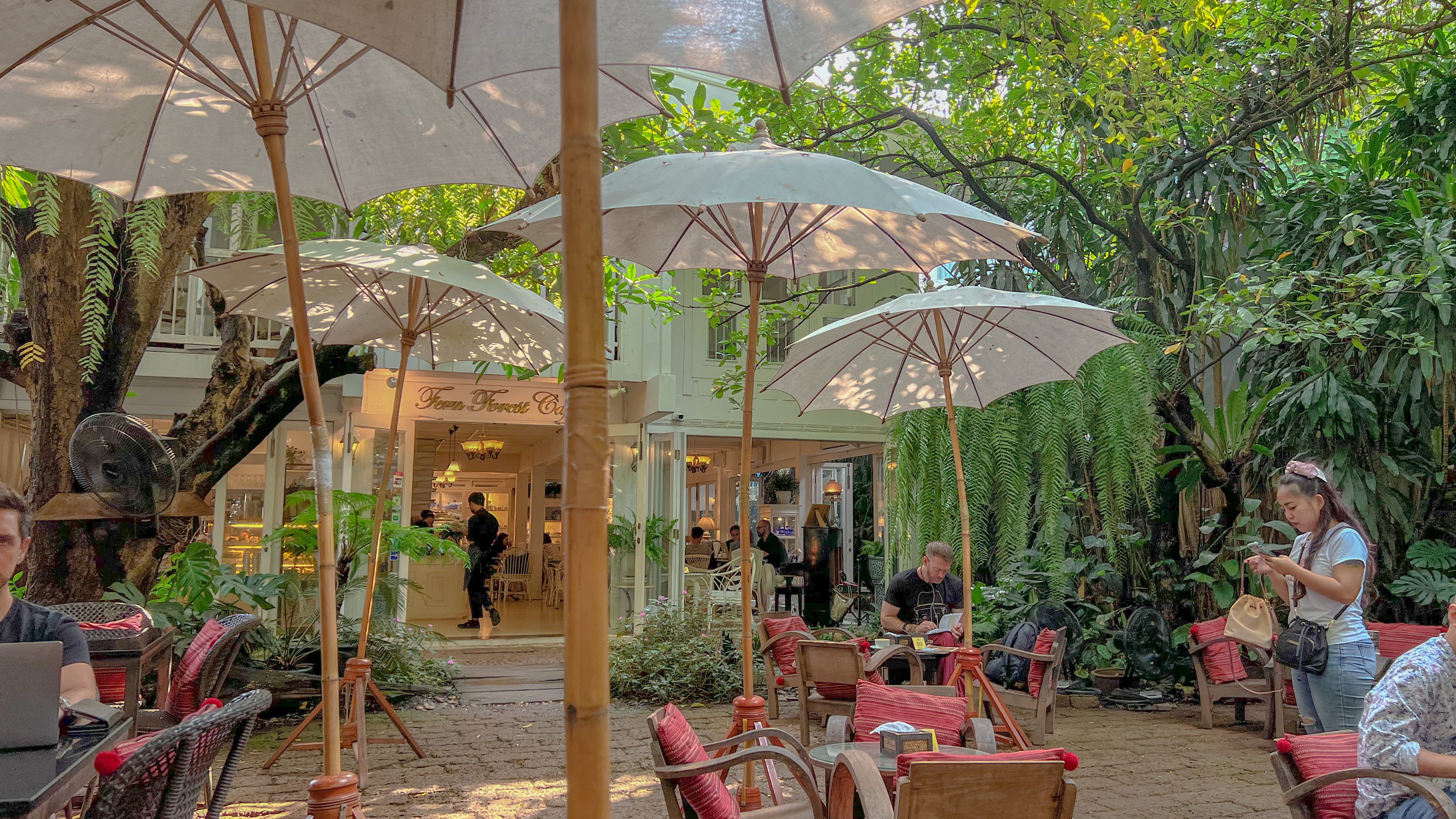 fern forest cafe chiang mai