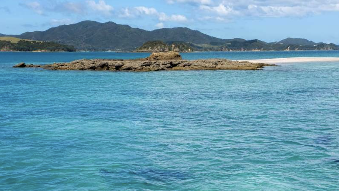 tiny house work exchange worldpackers