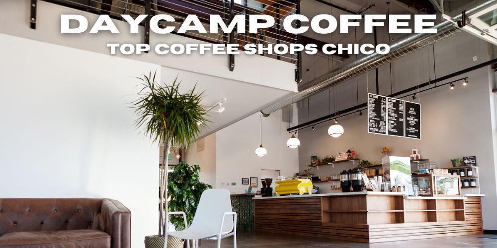 best coffee shops chico, ca, daycamp coffee