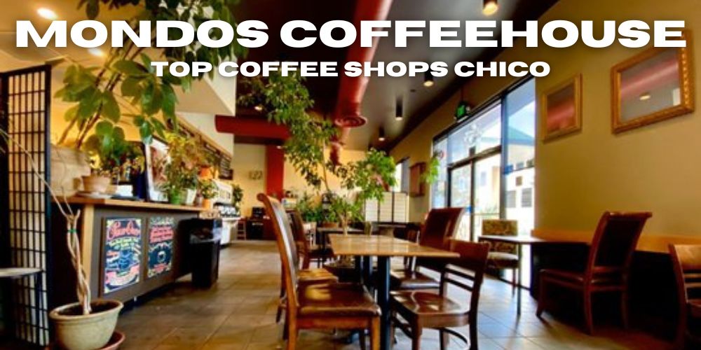 best coffee shops chico, ca, mondos coffeehouse