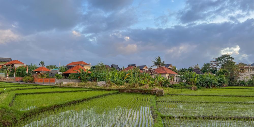 bali digital nomad canggu