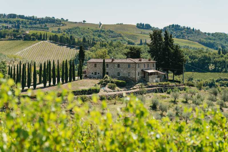 Chianti Wineries florence day trip